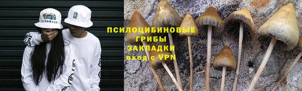 тгк Волоколамск